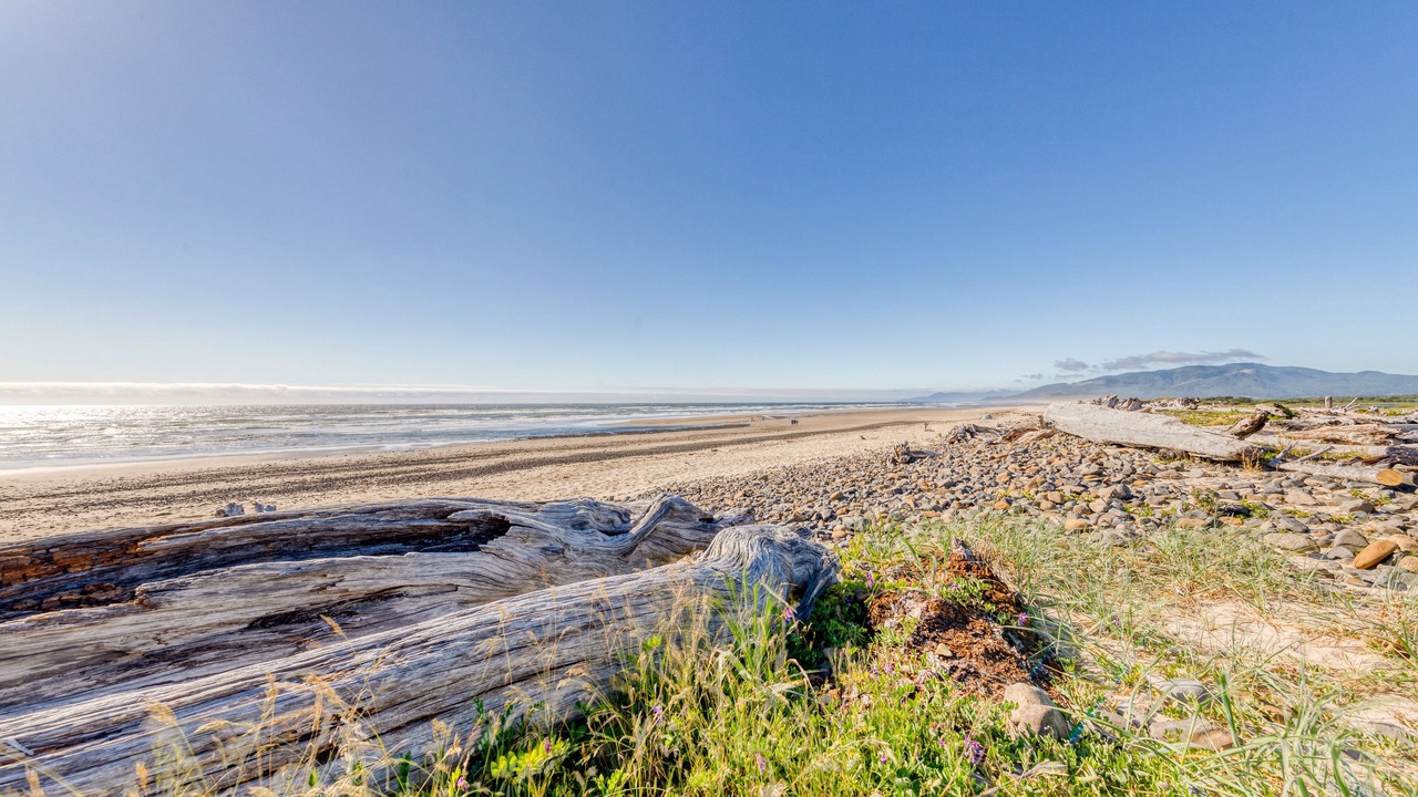 Photo of Others in Cape Meares