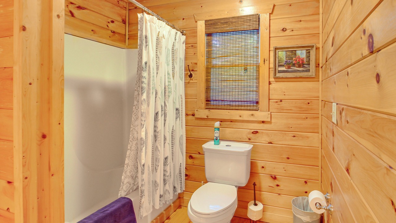 Photo of Bathroom in Ellijay