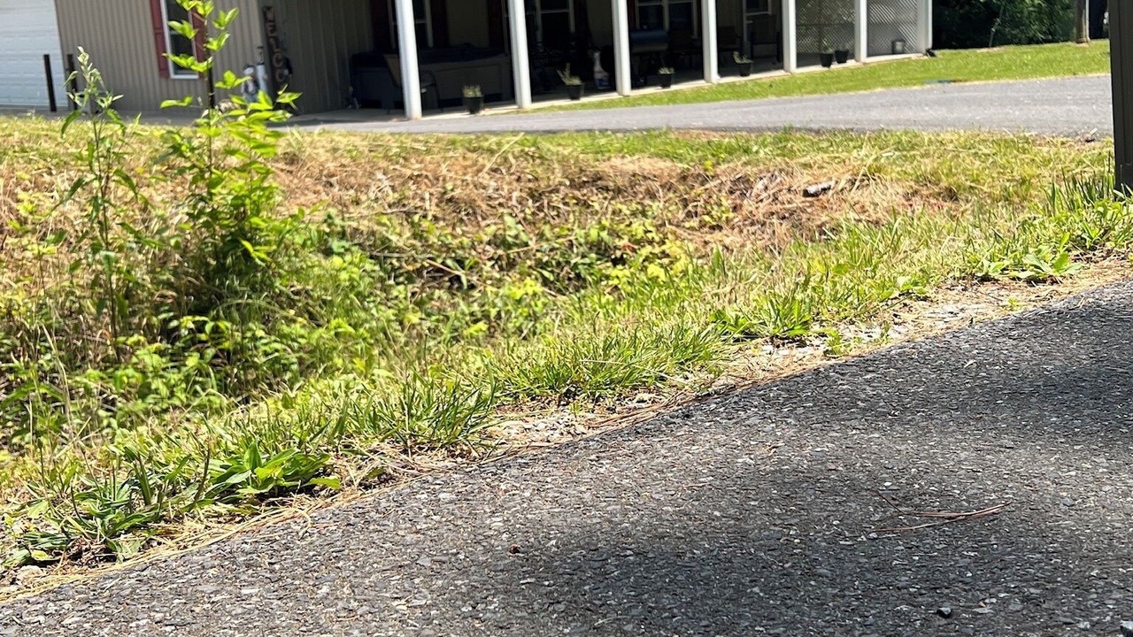 Photo of Outdoor in Almo