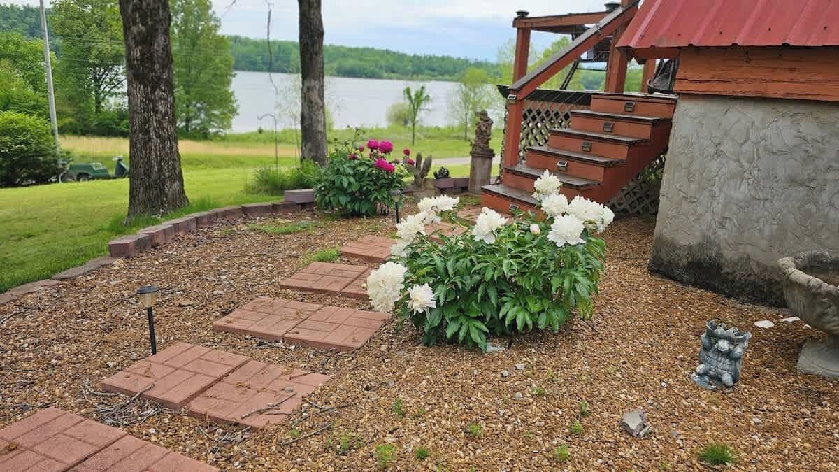 Photo of Outdoor in Linden