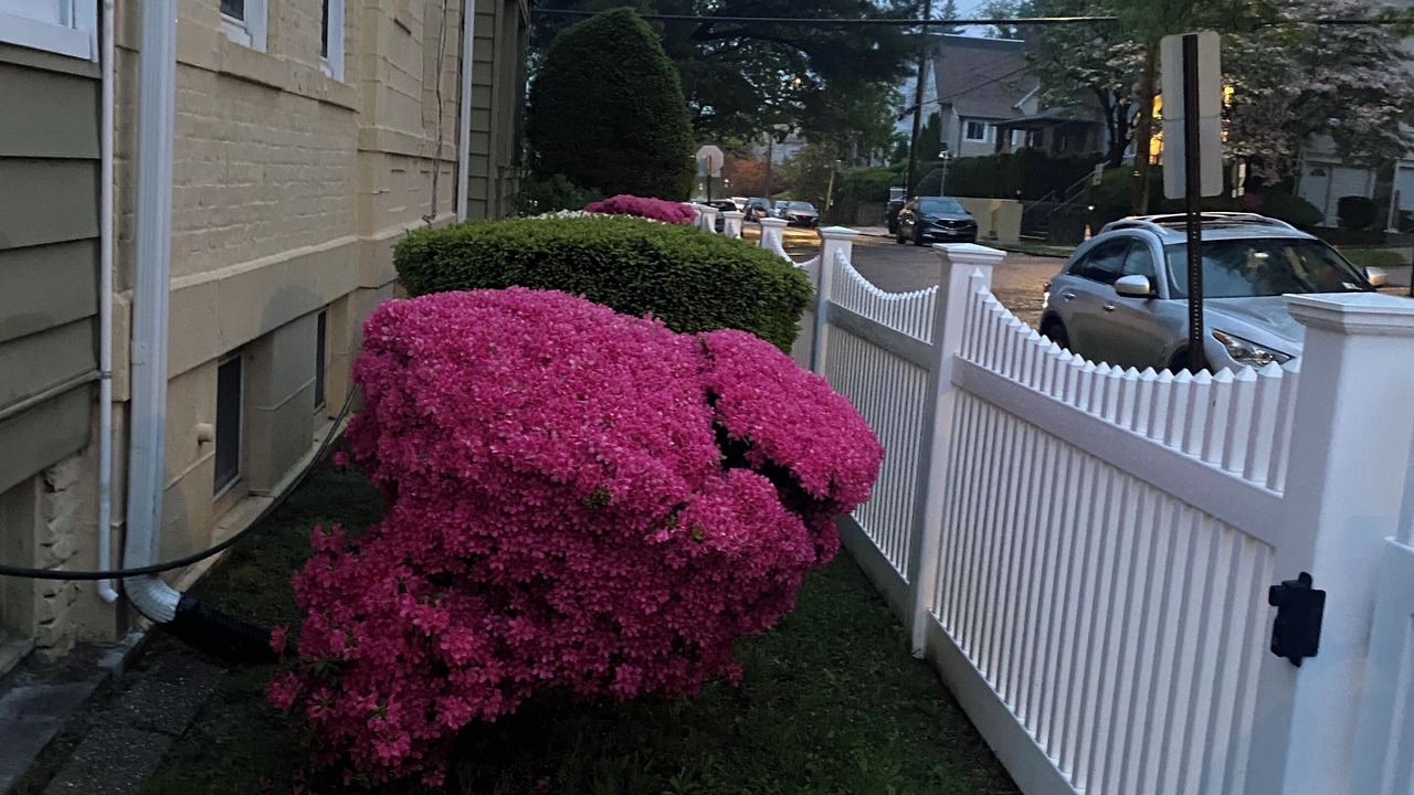 Photo of Outdoor in South Side