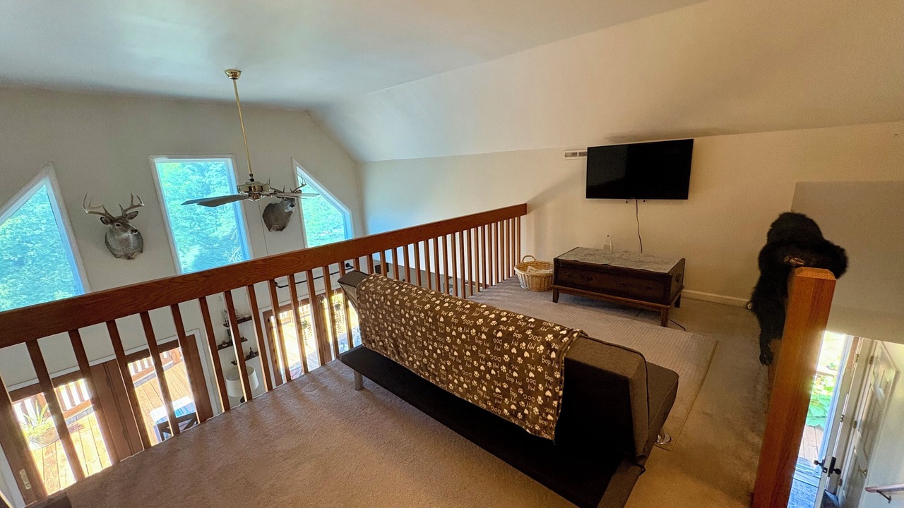 Photo of Livingroom in James Creek