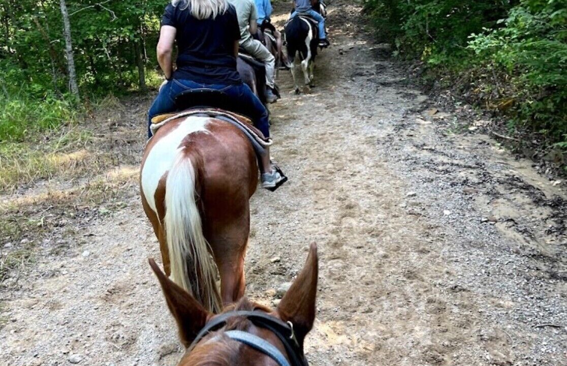 Photo of Others in Woodbine