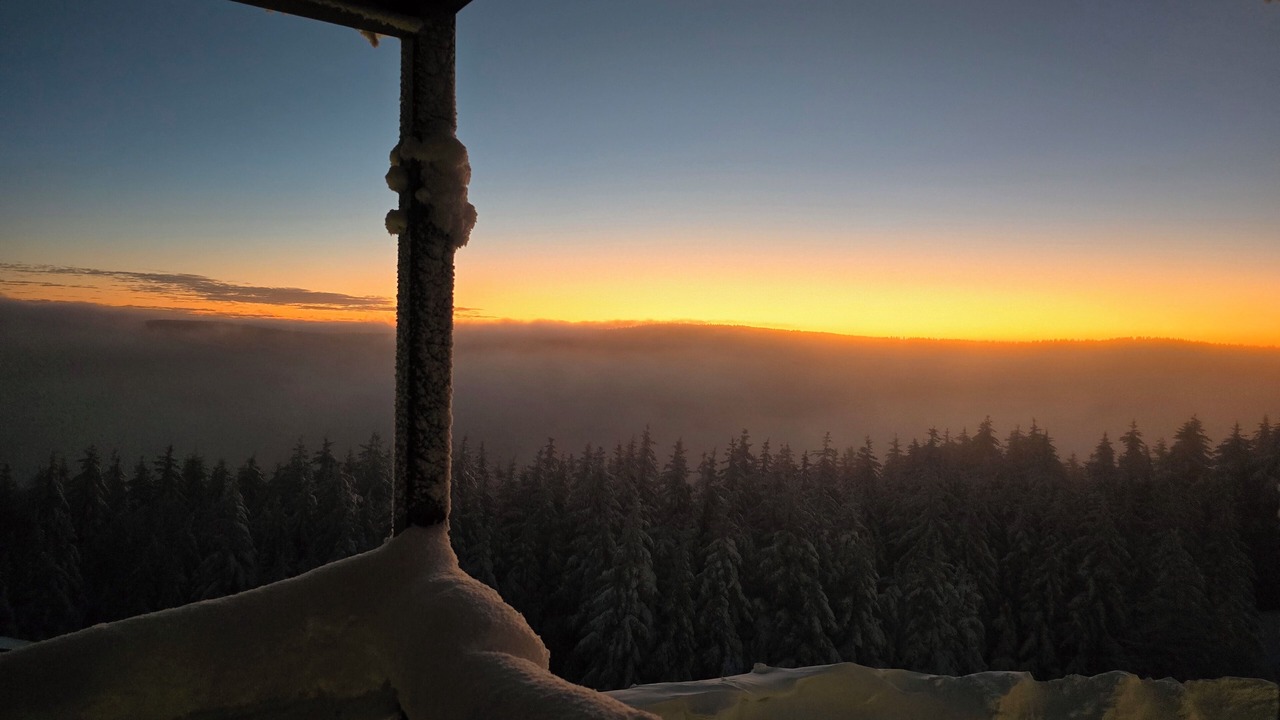 Photo of Others in Snowshoe