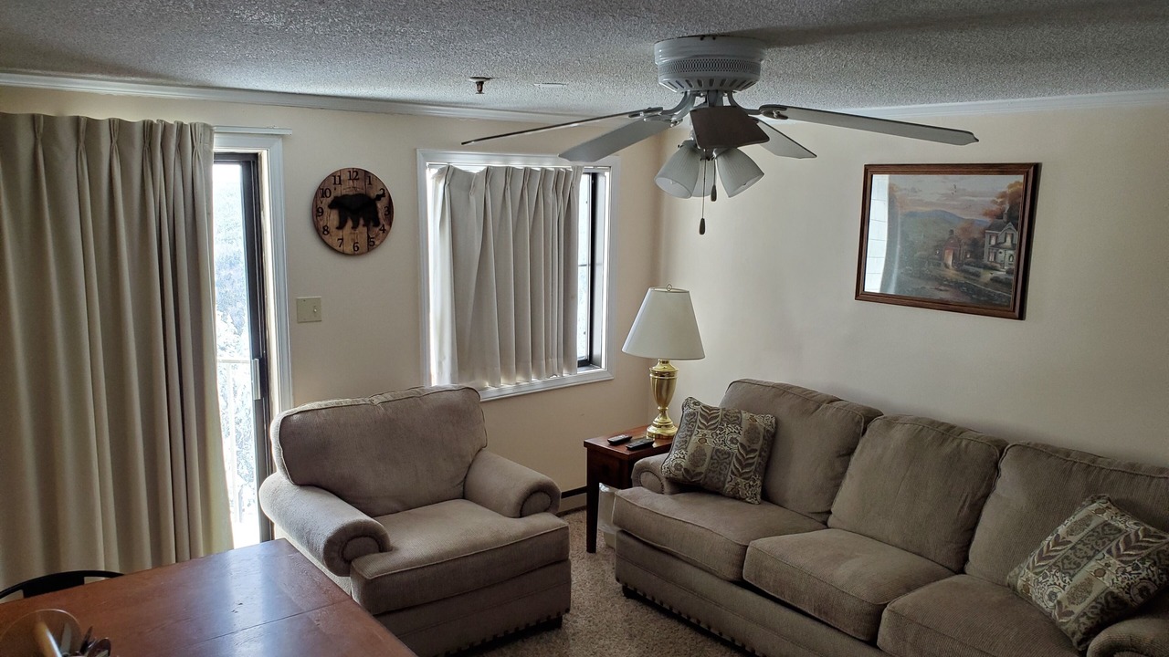 Photo of Livingroom in Snowshoe