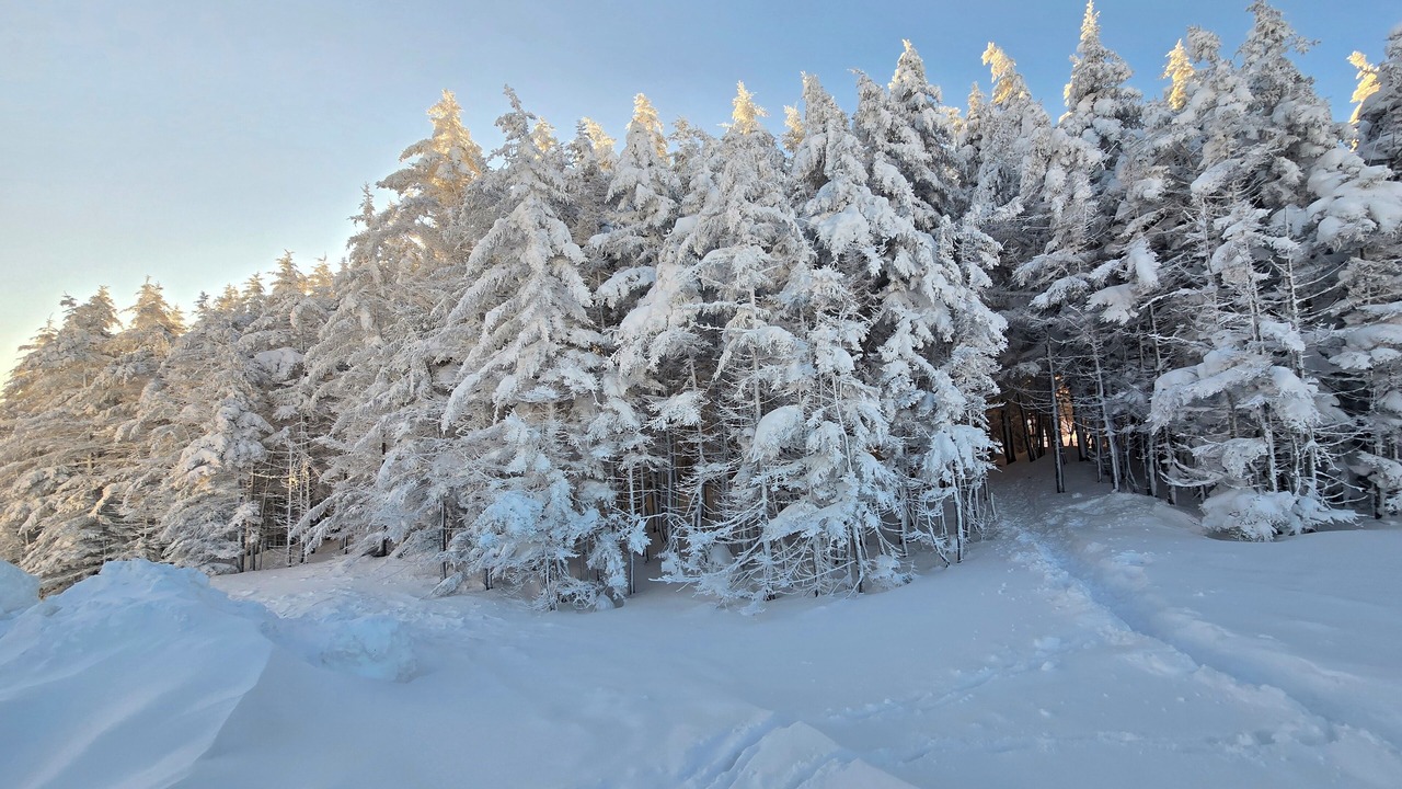 Photo of Others in Snowshoe