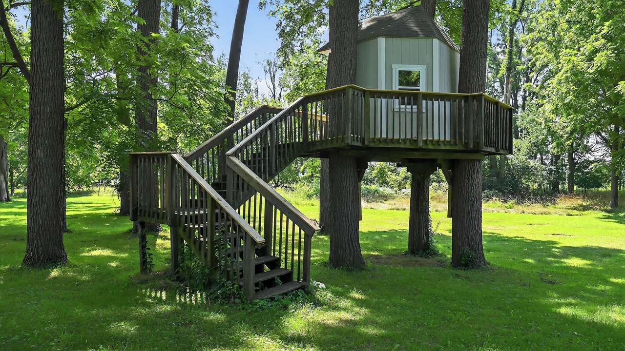 Photo of Outdoor in Niles