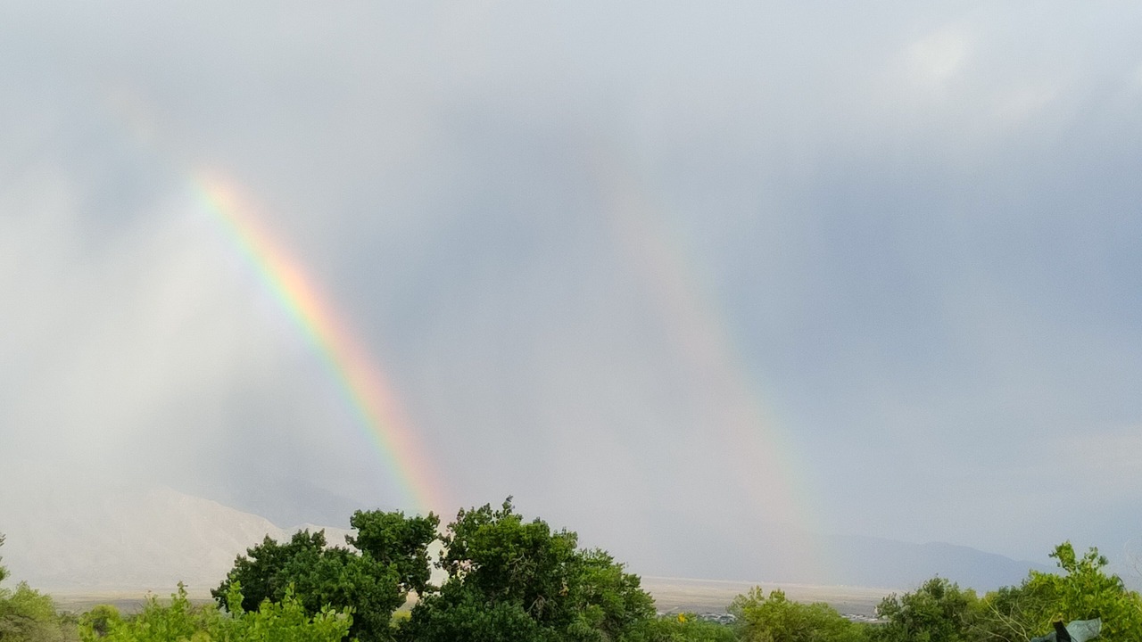 Photo of Others in Rio Rancho