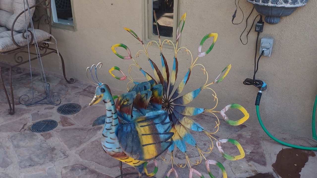 Photo of Outdoor in Mesilla
