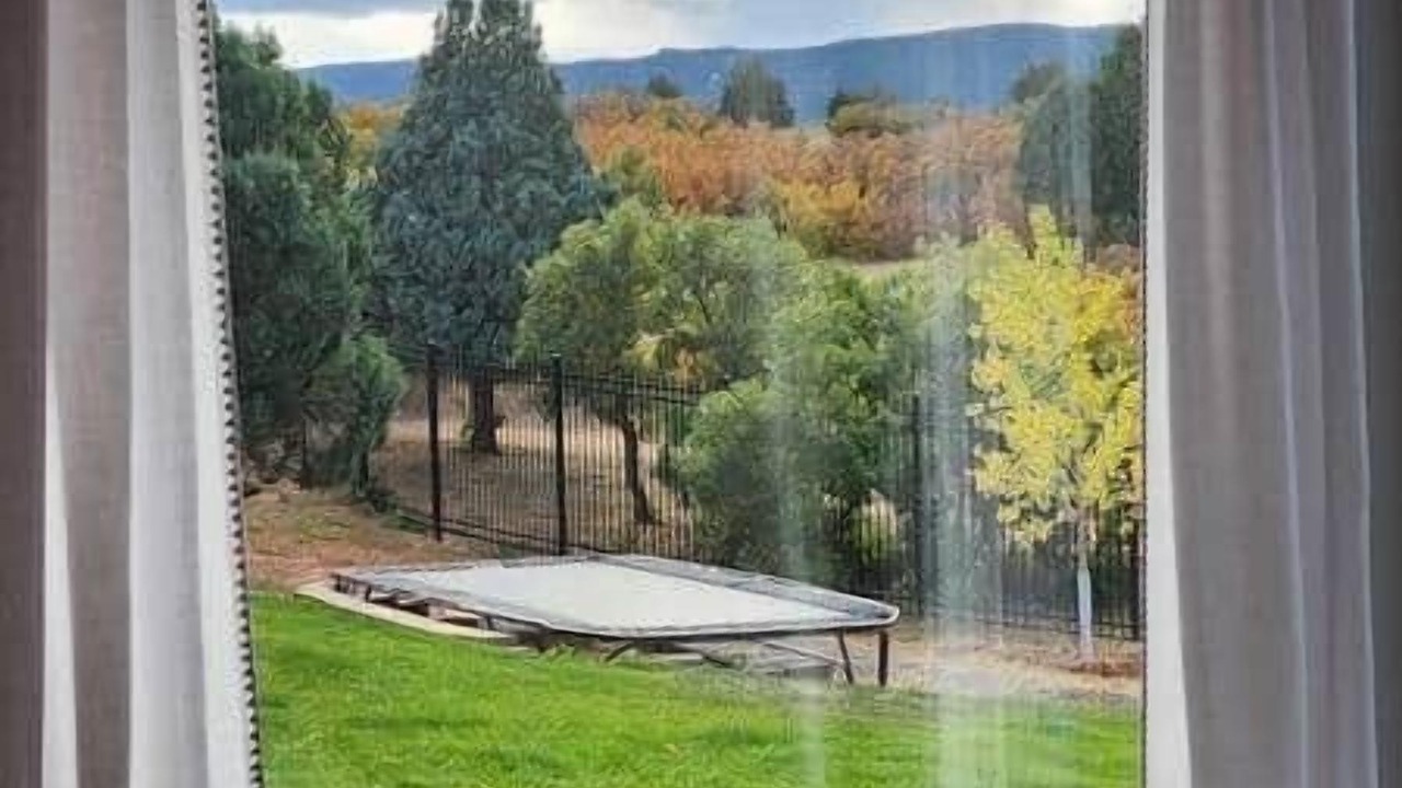 Photo of Others in Larkspur