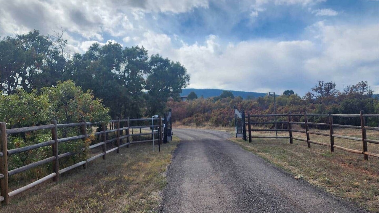 Photo of Others in Larkspur