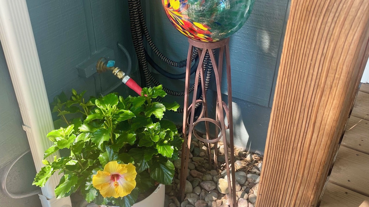Photo of Outdoor in Niwot
