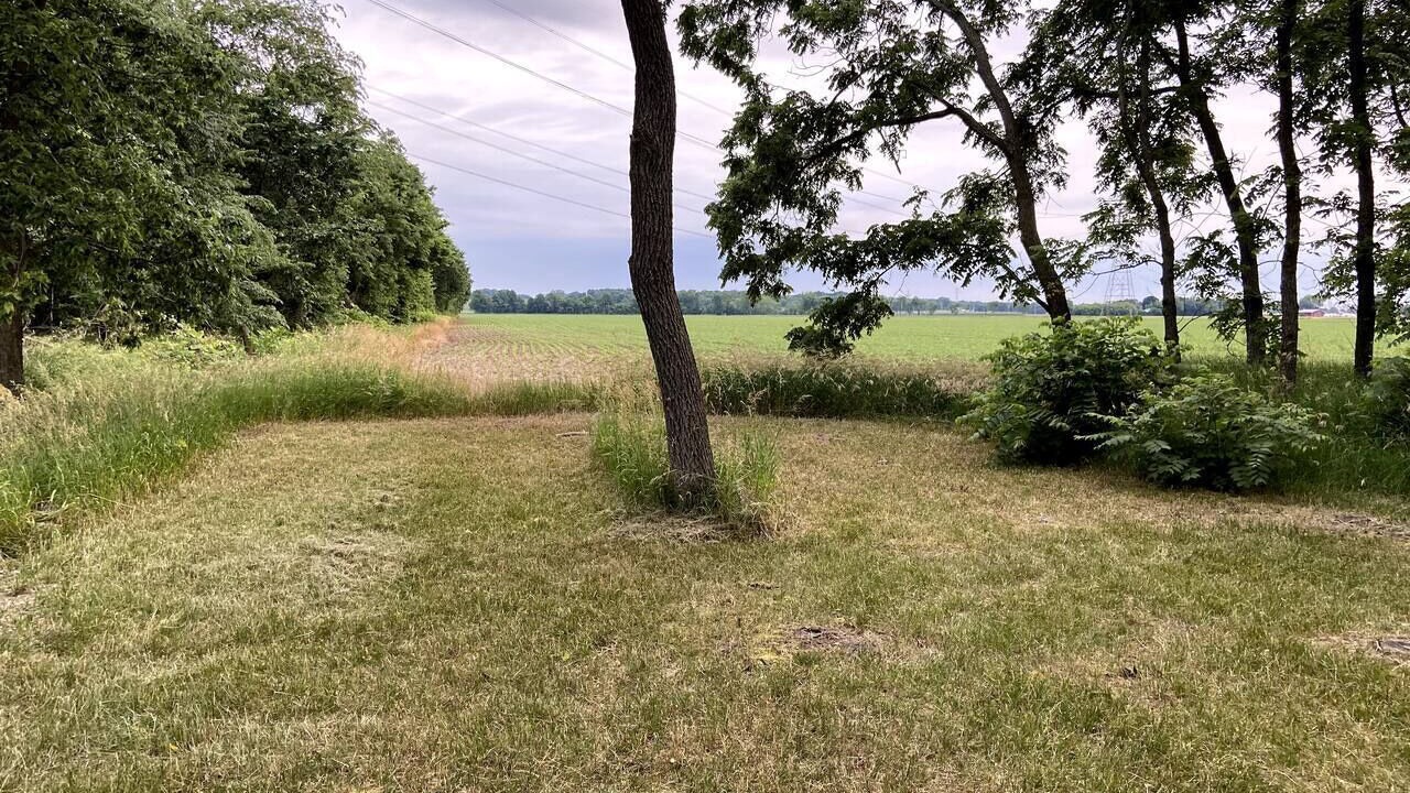 Photo of Others in Berrien Springs