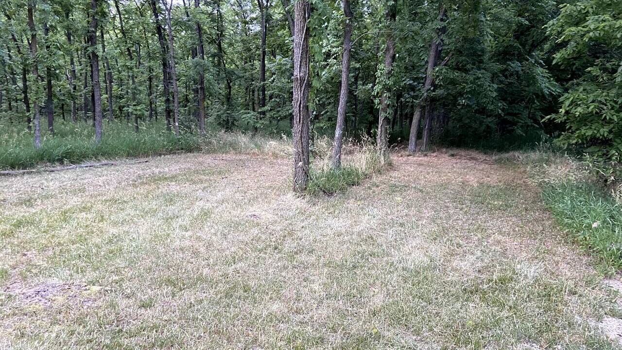 Photo of Others in Berrien Springs