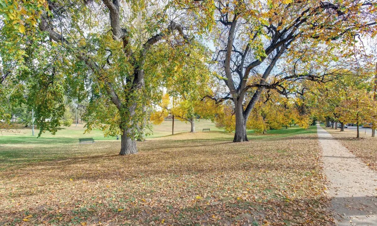 Photo of Others in Jefferson Park