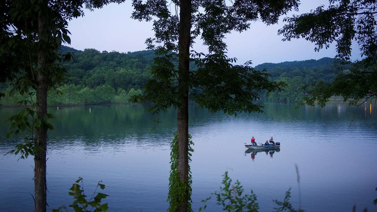 Photo of Others in Roanoke