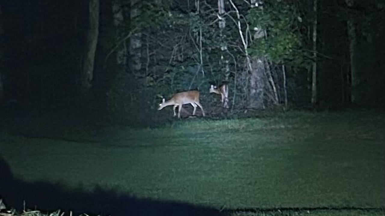 Photo of Others in Tallassee