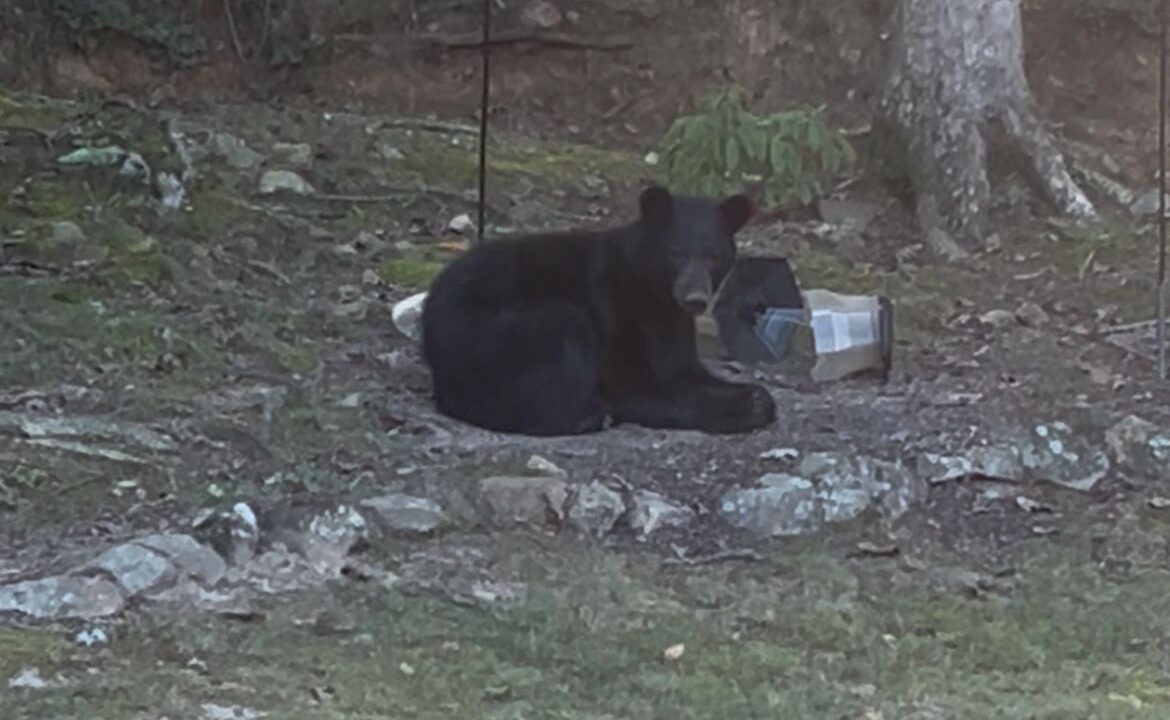 Photo of Others in Tallassee