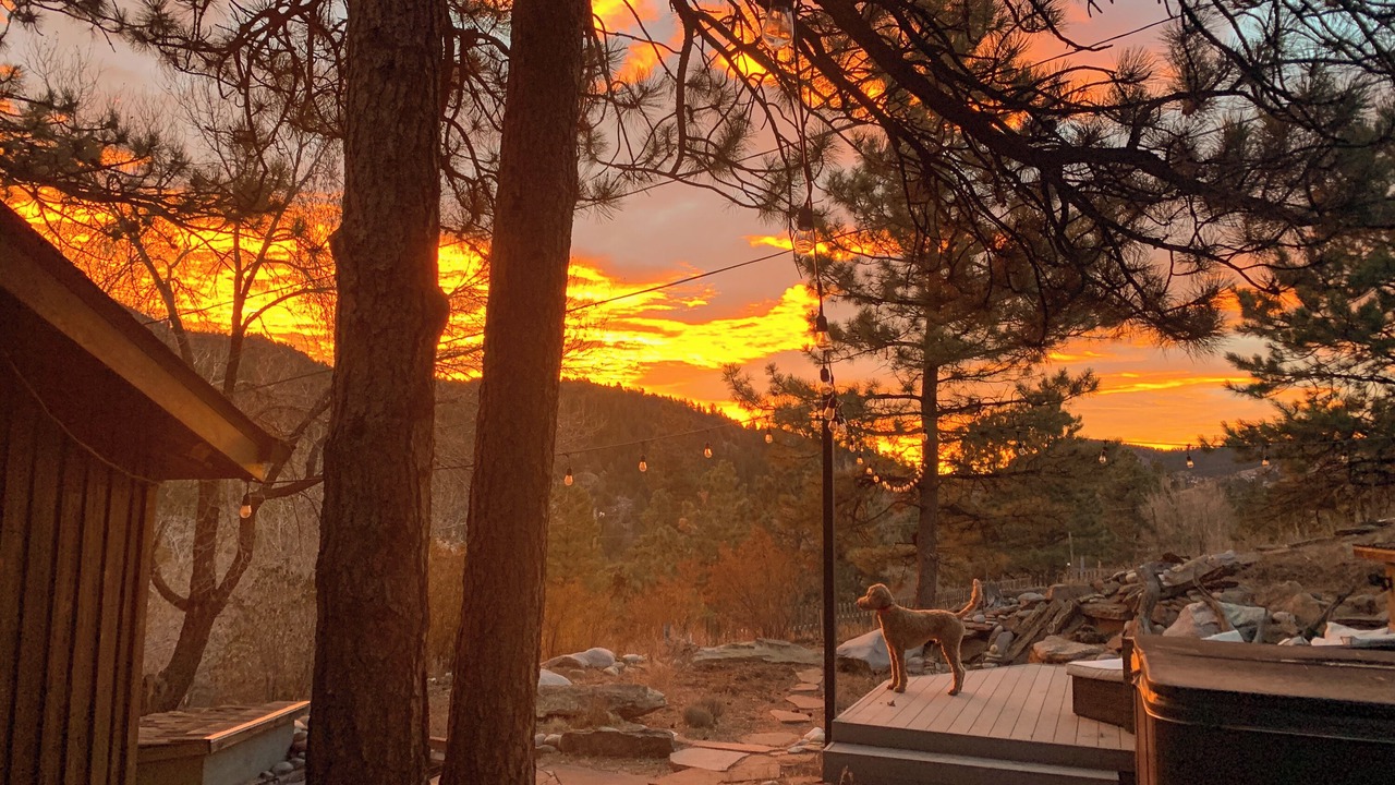 Photo of Outdoor in Golden