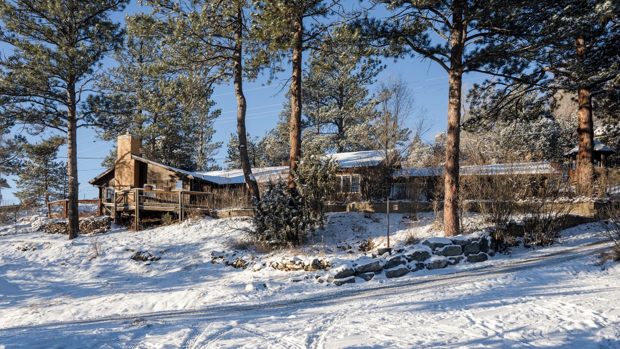 Photo of Outdoor in Golden