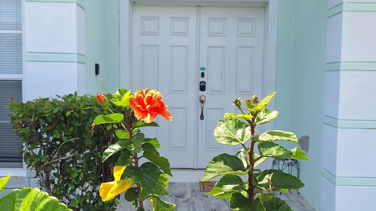 Photo of Outdoor in Orange Tree