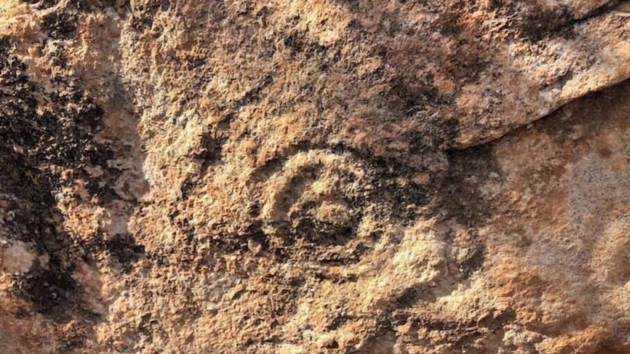Photo of Others in Apple Valley