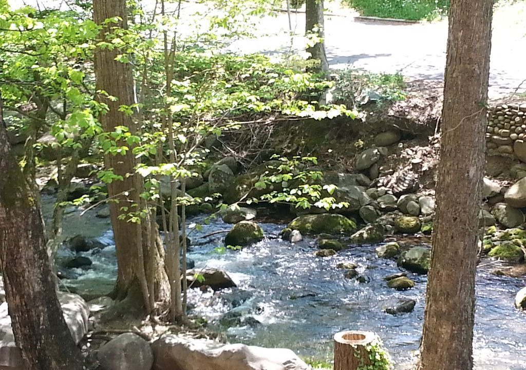 Photo of Others in Gatlinburg