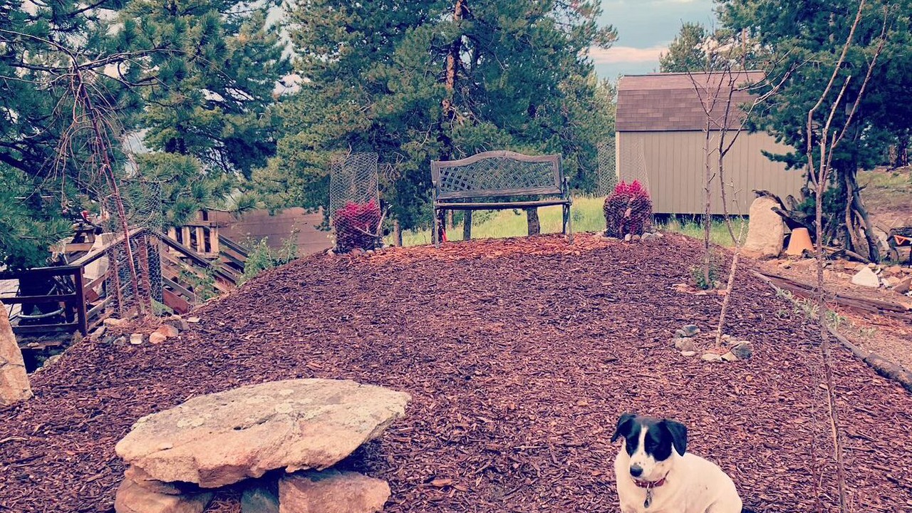 Photo of Outdoor in Coal Creek Canyon