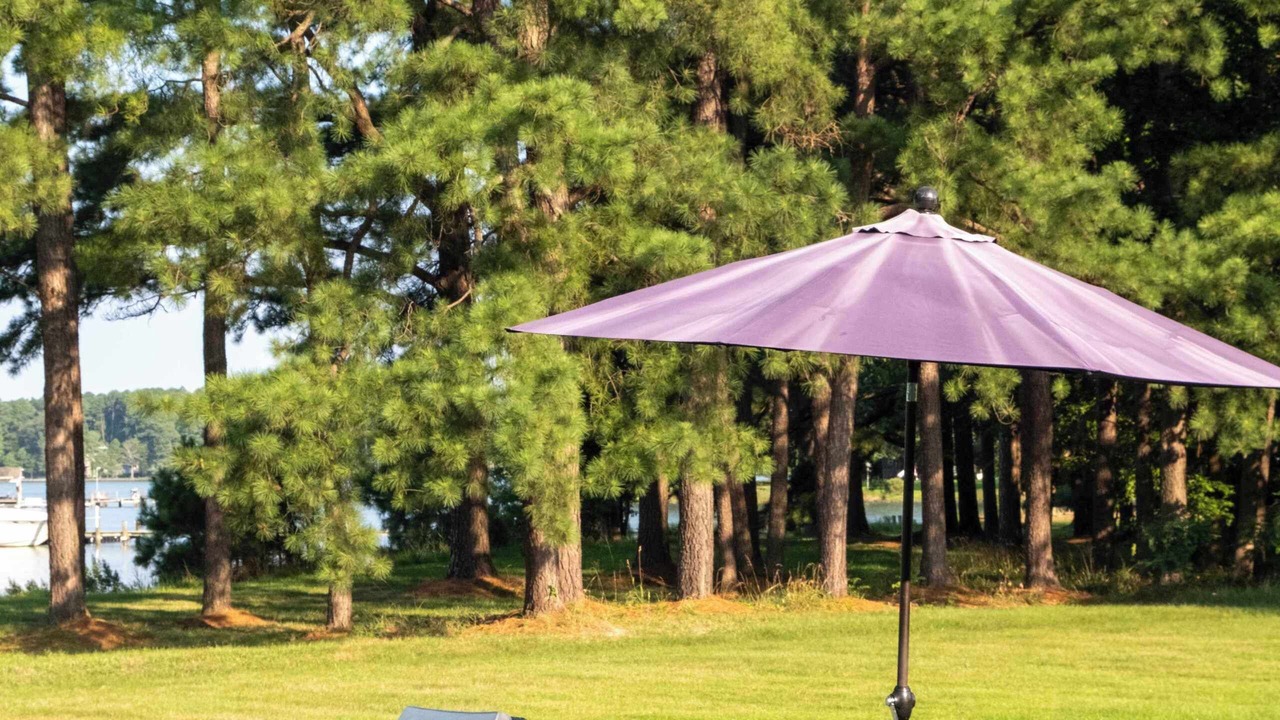 Photo of Outdoor in St. Michaels