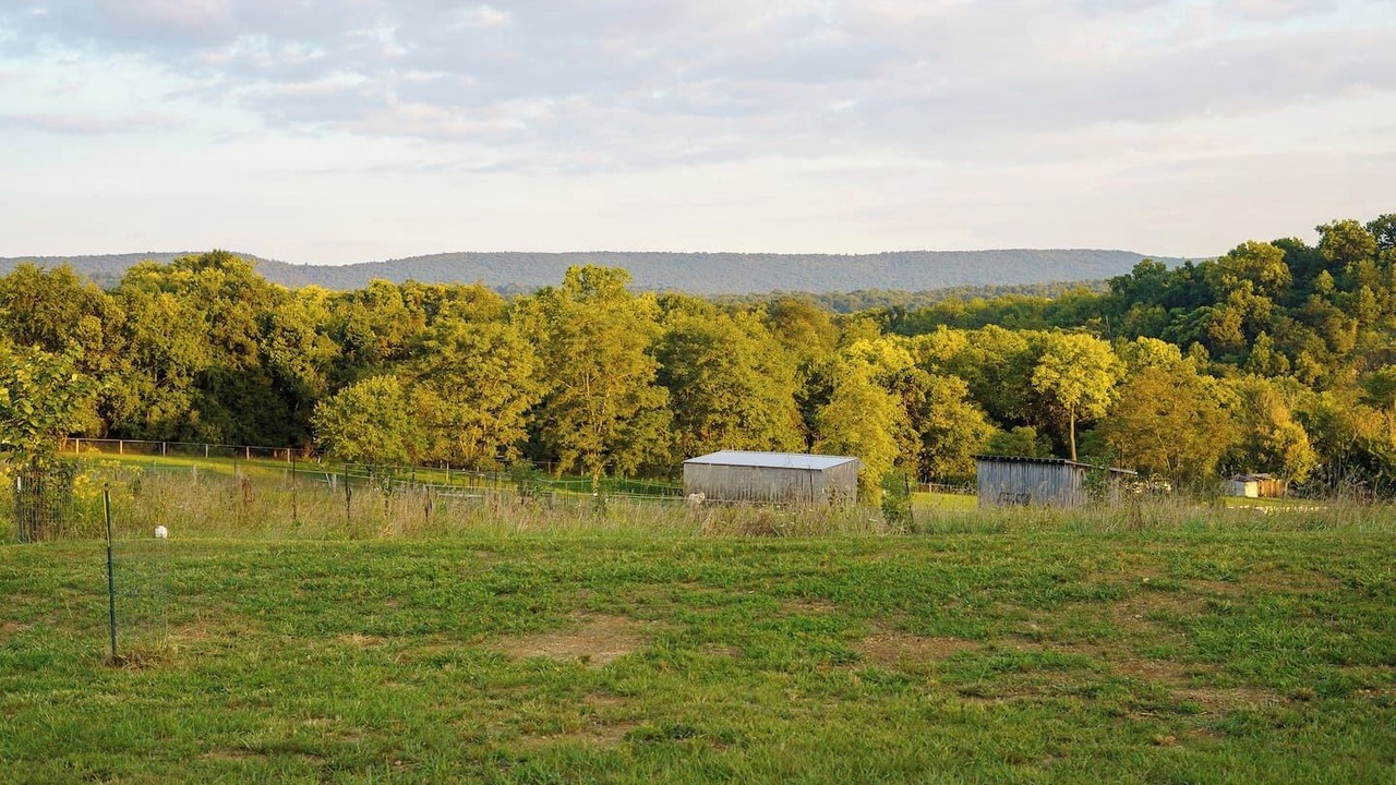 Photo of Others in Antietam