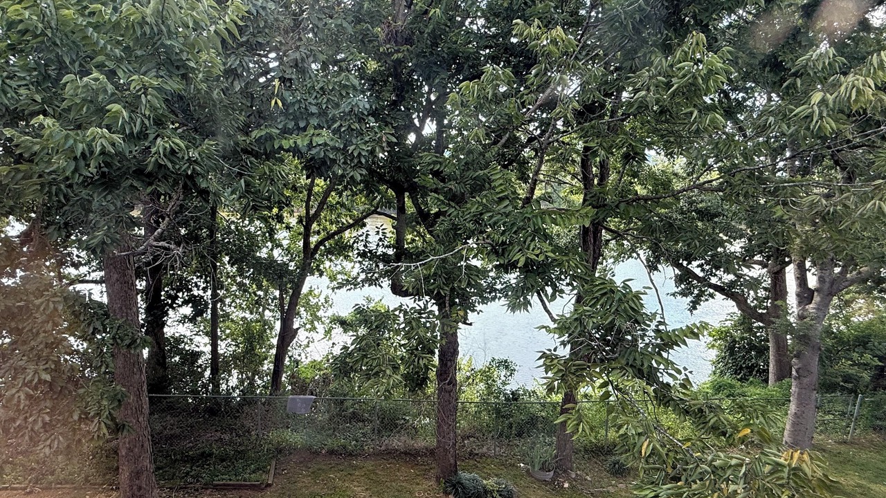 Photo of Others in Charlotte Park