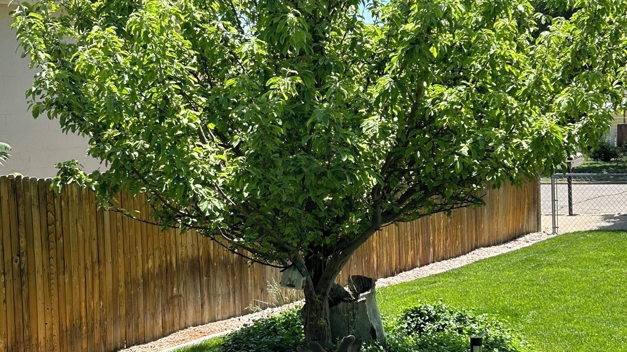 Photo of Outdoor in Canon City
