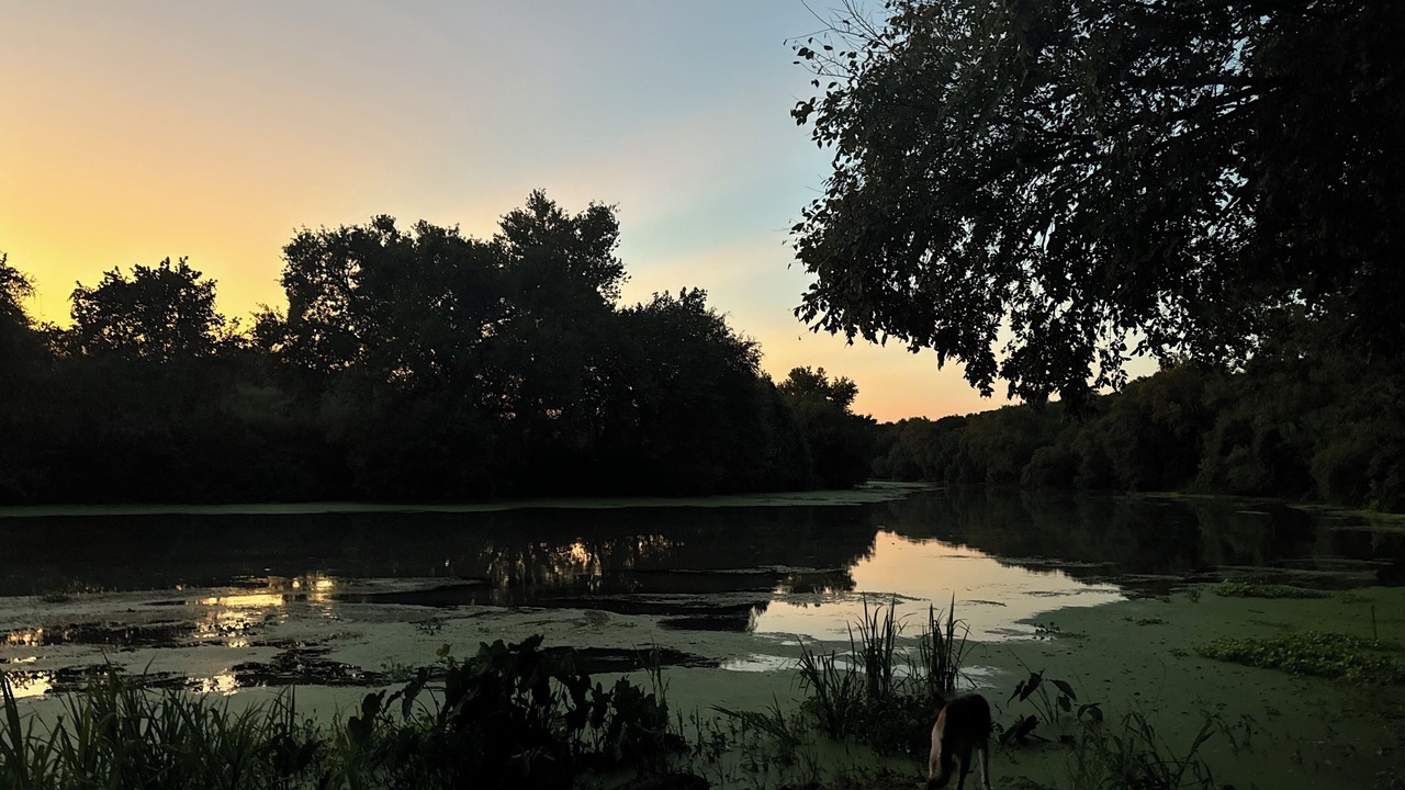 Photo of Outdoor in Cedar Creek