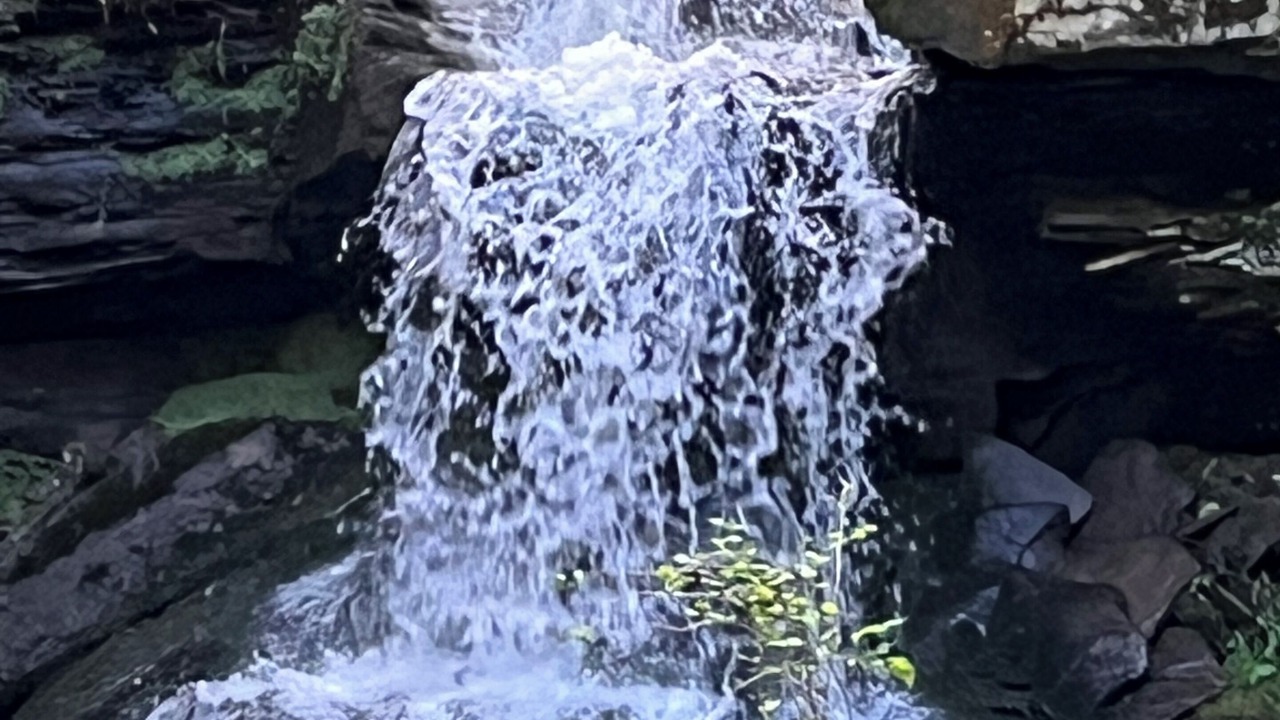 Photo of Others in East Branch