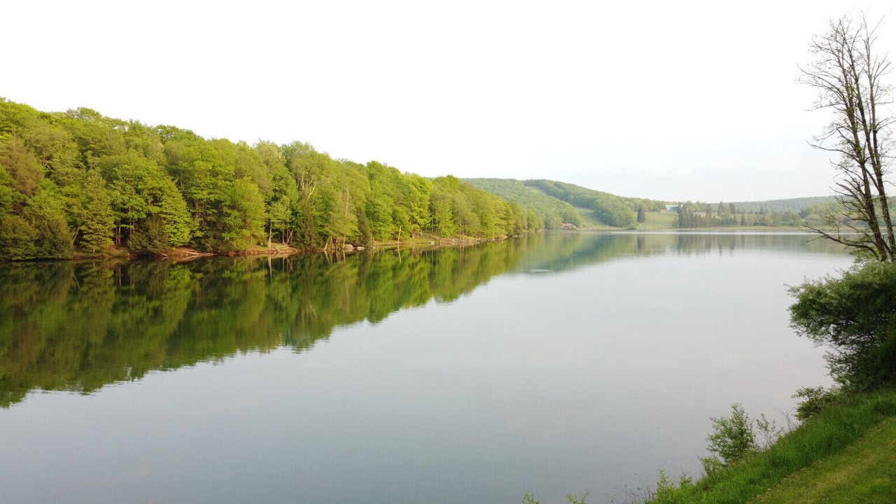 Photo of Others in Alpine Lake