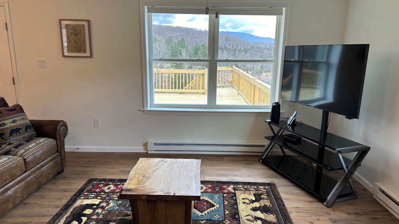 Photo of Livingroom in Saranac