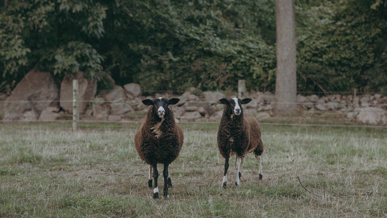 Photo of Others in Narvon