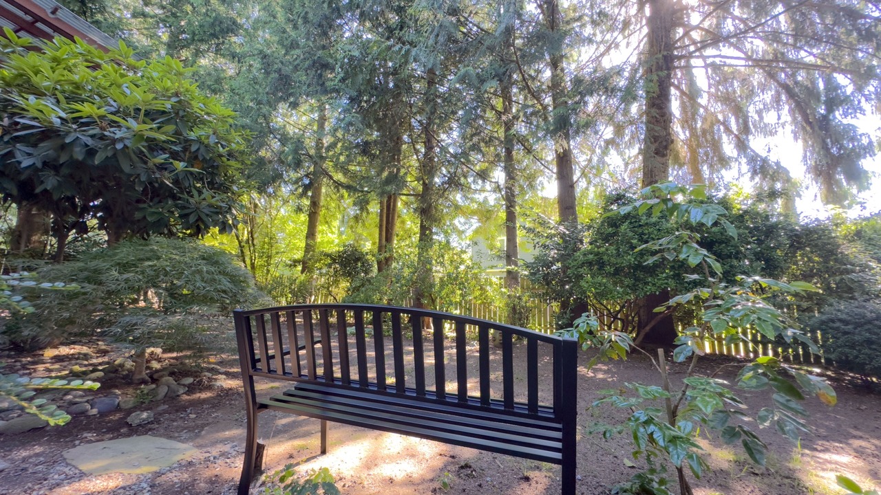 Photo of Outdoor in Inglewood-Finn Hill