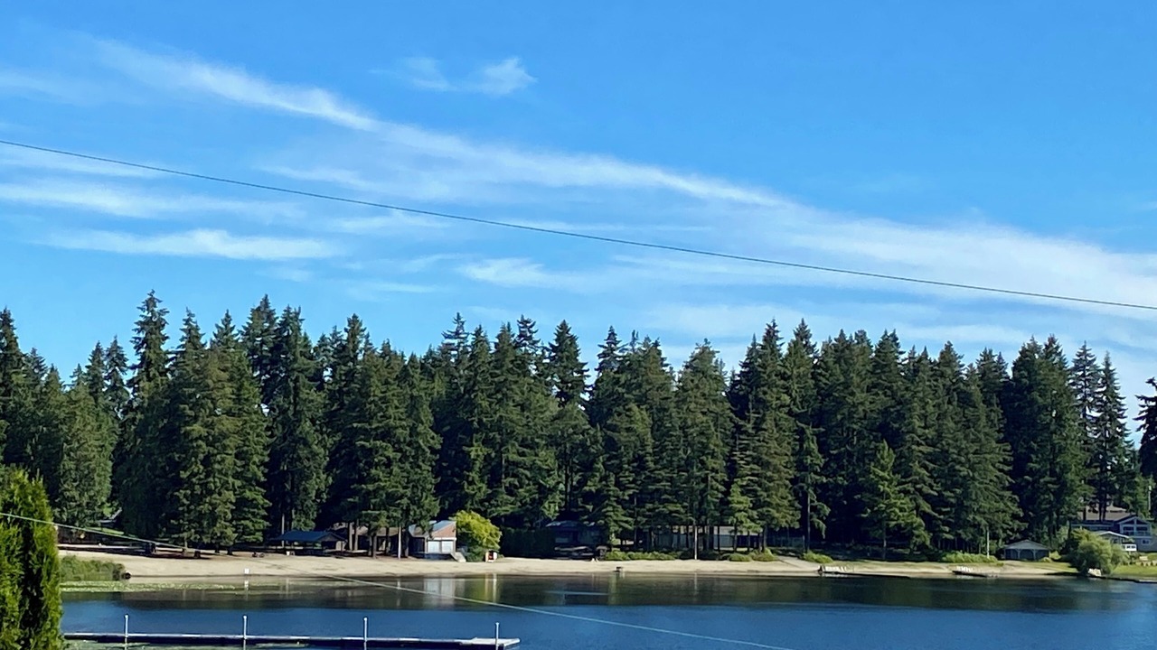 Photo of Others in Silver Lake