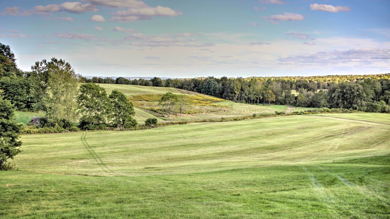 Photo of Outdoor in Chautauqua
