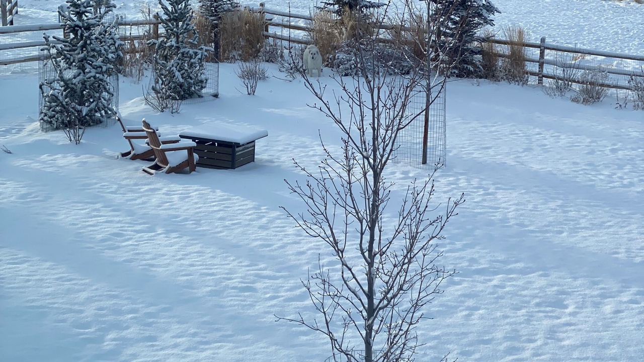 Photo of Outdoor in Cerise Ranch