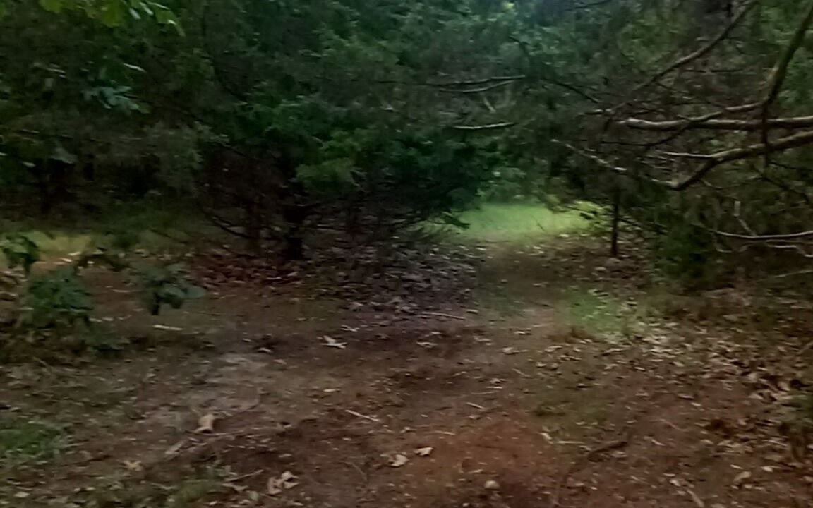 Photo of Outdoor in Elkland