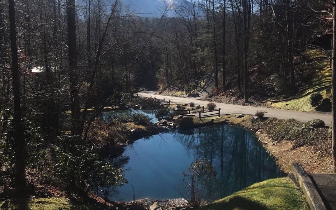 Photo of Outdoor in Black Bear Falls