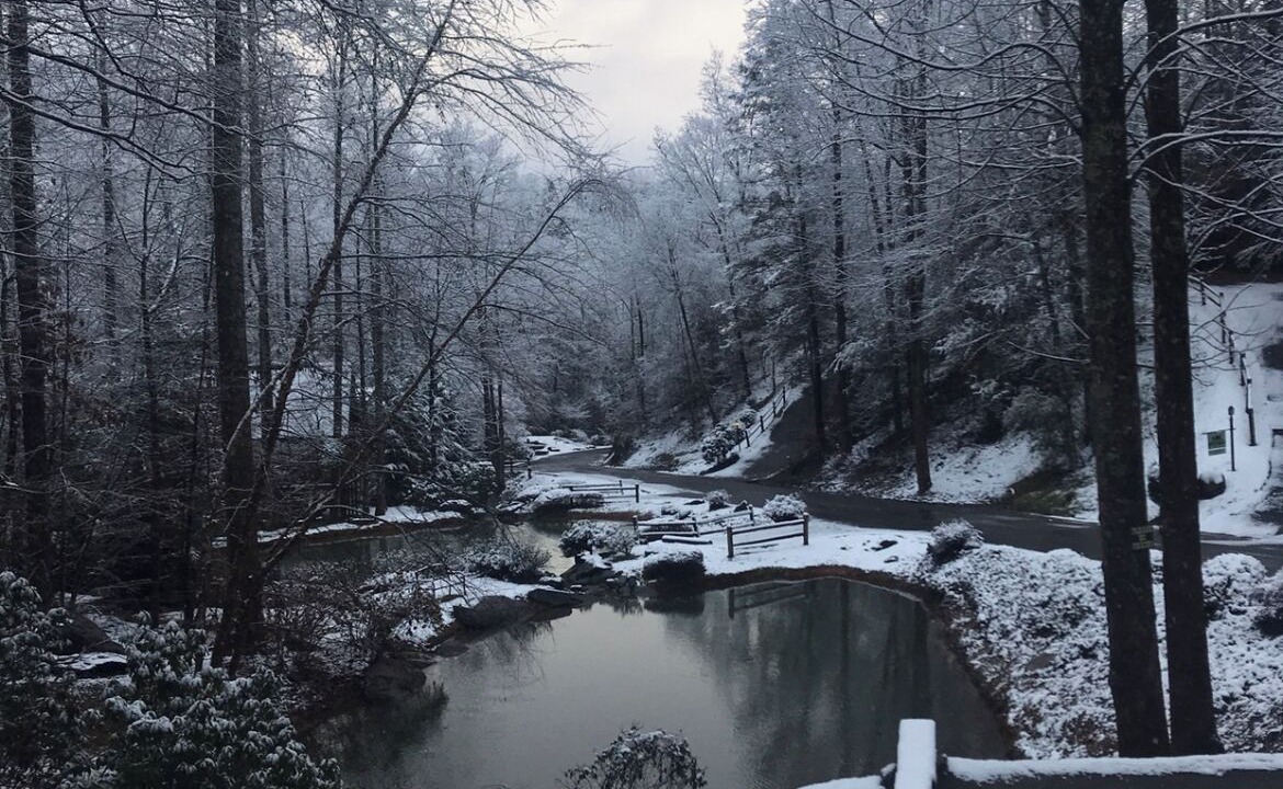 Photo of Outdoor in Black Bear Falls