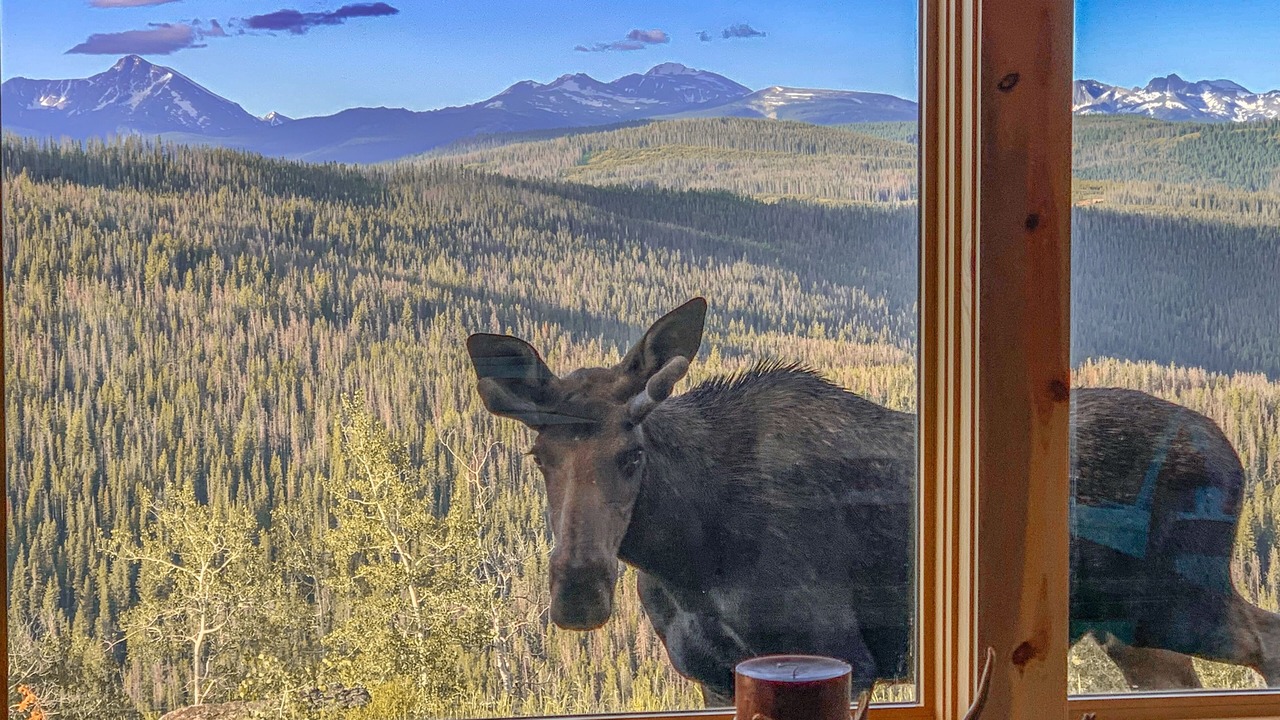 Photo of Others in Eagle County