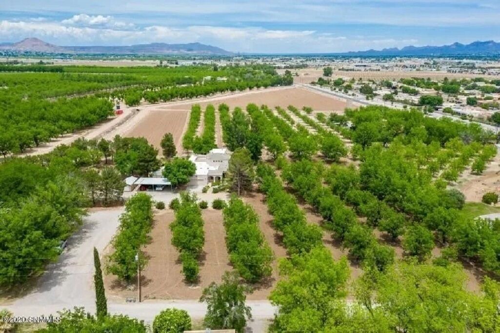 Photo of Outdoor in Mesilla