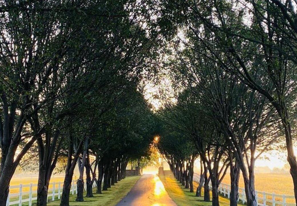 Photo of Outdoor in Castalian Springs