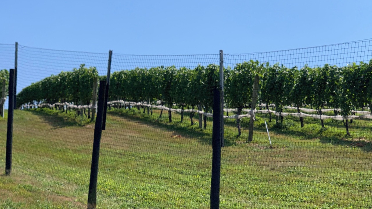 Photo of Outdoor in Fauquier County