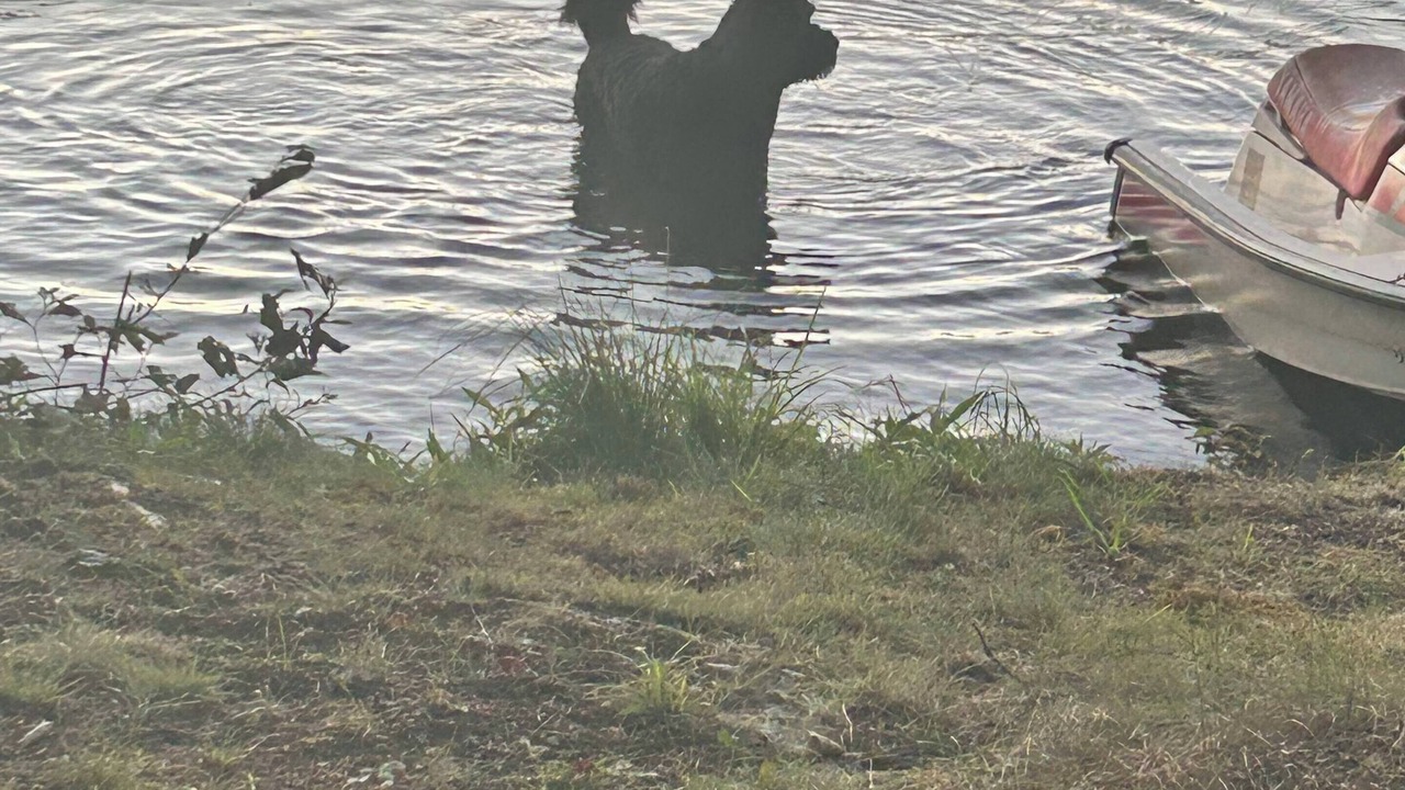 Photo of Others in Three Lakes