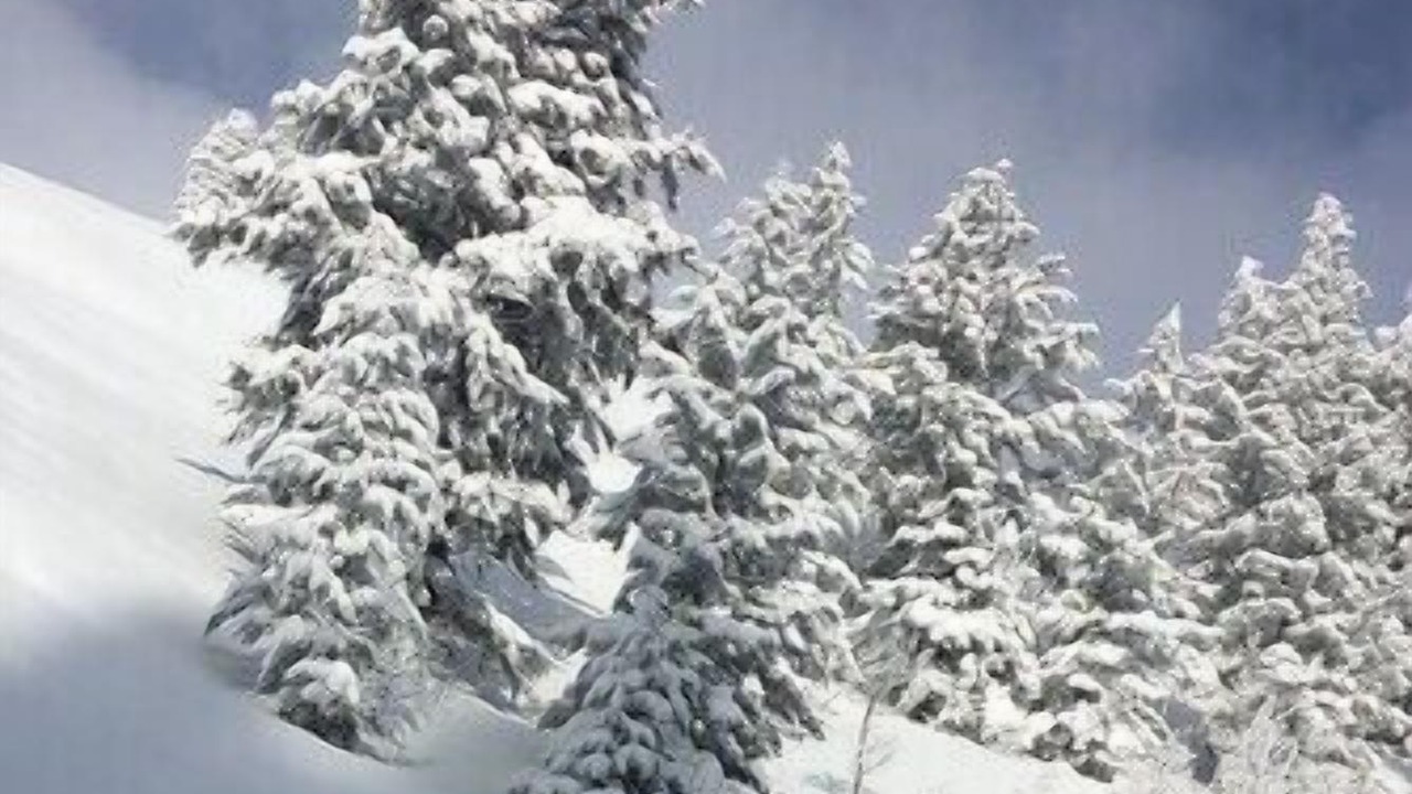 Photo of Others in Powder Mountain